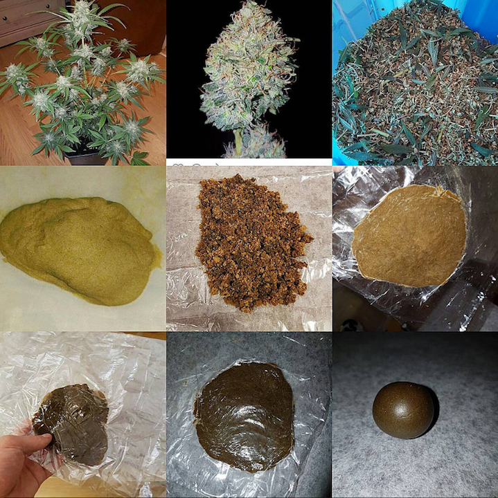 We are as fans of @isolaterbaker as he is from us! You rock it! Look at what he is able to do with some of our GirlScoutCookes! Just trimming & 10g of buds! OMG! Remixes